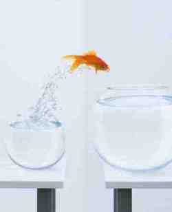 Change Management